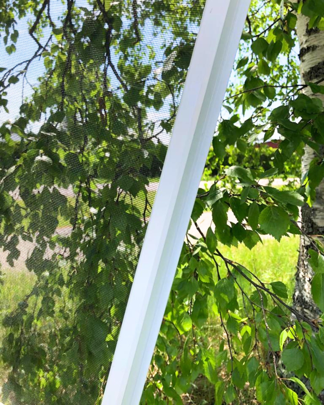 Insect screen for door keeping bugs out while allowing fresh air and garden view