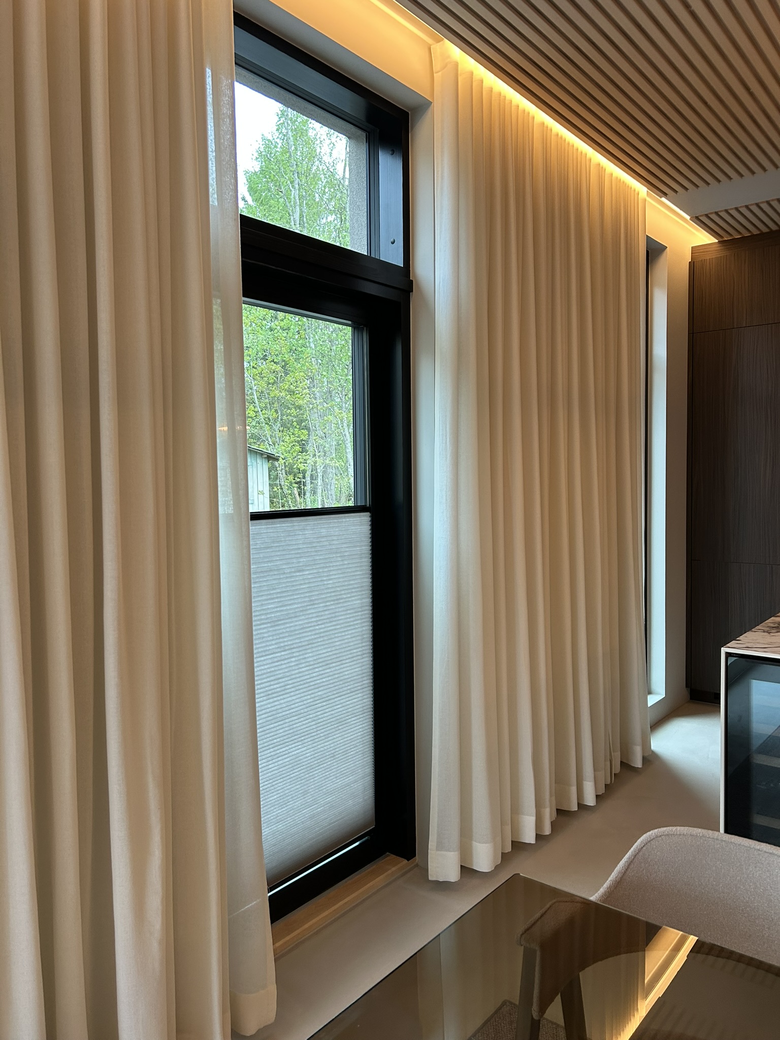 Blinds for doors